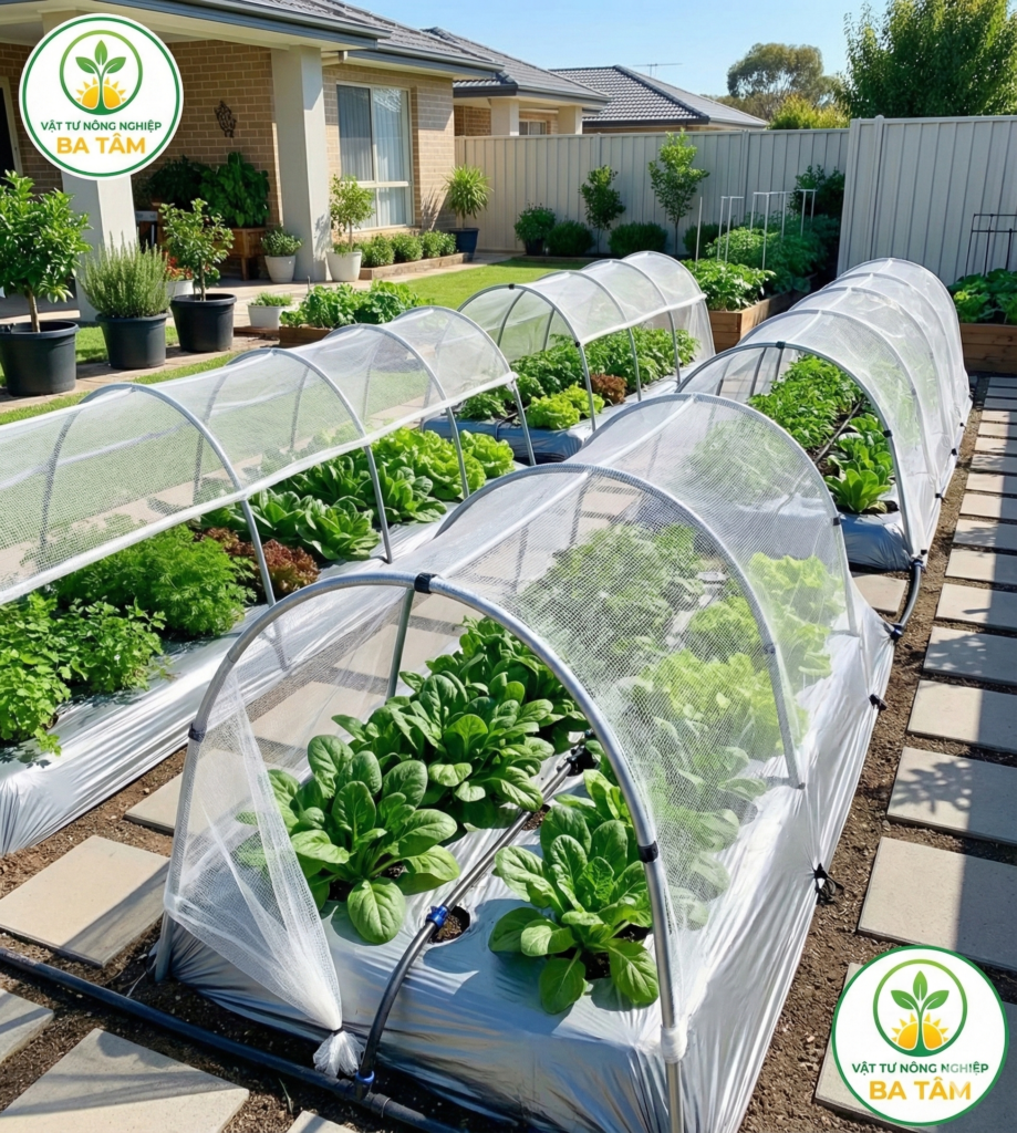 Mô hình trồng rau sạch sử dụng lưới và màng phủ nông nghiệp hiệu quả